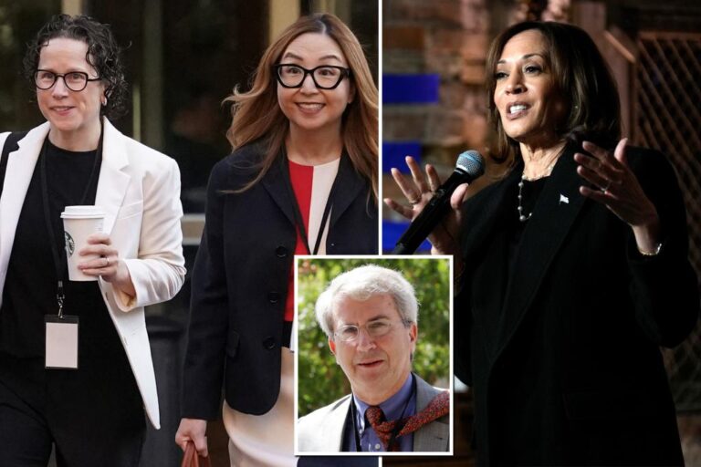 Exclusive | Karen Dunn, other Google lawyers host Kamala Harris fundraiser amid DOJ antitrust fight

