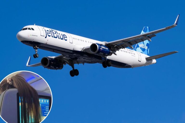 Passenger lashes out at this fake 'inconsiderate' plane: 'Doesn't she know?'

