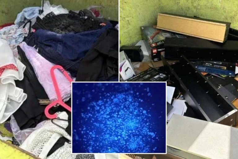 LED light exposes sickening secret in family home as they are forced to move: 'Living in hell'

