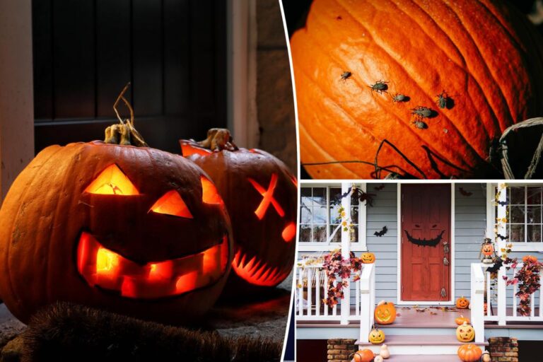 This beloved fall ritual can actually put you and your home at risk: expert

